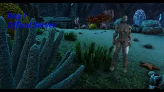Day 1 Aqutica | Official server