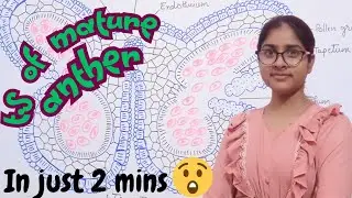 MOSY IMPORTANT DIAGRAM for class 12th BIOLOGY BOARD EXAM 2025