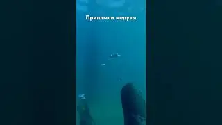 Витязево, 08.07.2024г.