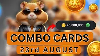 23rd August  | Hamster Kombat Daily Combo Cards For Today | 5000000 Coins