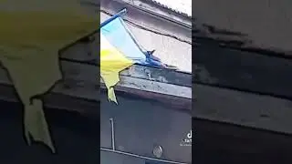 Российские белки в тылу врага #юмор