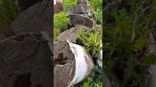 почему раньше писали на бересте 