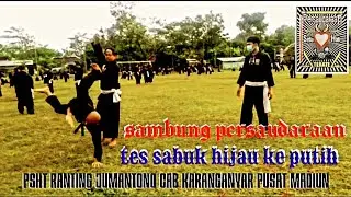 PSHT || Sambung psht ranting jumantono cab karanganyar pusat madiun