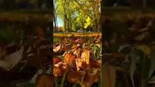 Не всегда прощения просит тот, кто виноват. Прощения просит тот, кто дорожит отношениями. 