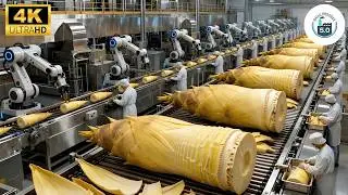 Inside Massive Bamboo Shoot Factory: 100% Automated Production (Full Process)