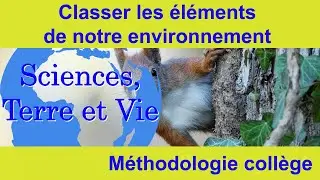 Classer les éléments de notre environnement