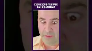 Hayvan Zevkten Dört Köşe Oldu 