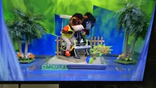 ZONK Tandtem  Bike