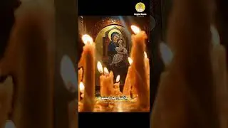 يا عذراء يا أطيب أم في الدنيا