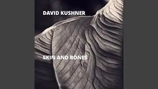 Skin and Bones