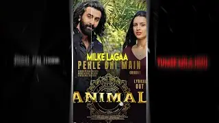 ANIMAL (PEHLE BHI MAIN) - ALIGHT MOTION BLACK SCREEN LYRICS