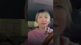 Полис ОСГОП. Зачем он нужен водителю такси? 