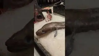 Mercado de San Miguel