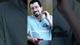 👆🏼 CLIQUE NO ▶️ Para ver o VÍDEO COMPLETO - Lúpulo Hallertau Magnum!!