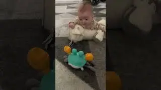 Must-Have Toy for Toddlers