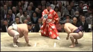 The January Sumo tournament in 2016, 13-15 days: the Khats bass (Tokyo) / Hatsu Basho (Tokyo)