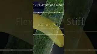 How Every Wizard Makes His Wand