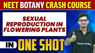 SEXUAL REPRODUCTION IN FLOWERING PLANTS in 1 Shot : All Concepts, Tricks & PYQs | NEET Crash Course