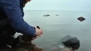 Wow he got TALENT!!!