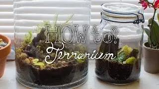 Make a Closed Tropical Terrarium - How To Terrarium ep.2