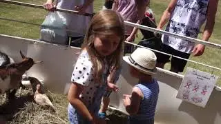 Что же мы делали на День Канады