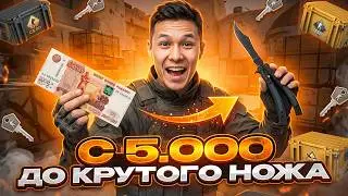 HOW TO BENEFIT FROM 5,000 RUBLES - CHOOSE THE TOP CASES! Sites with CS 2 Cases! CS 2 Cases