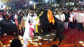 Hyderabad Sadar Festival 2024 | #sadarfestival | Narayanaguda Sadar | Sadar Sammelanam at YMCA