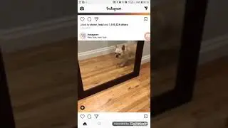 How to change the username of Instagram