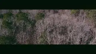 DJI Mavic Mini | Wooden Area | Cinematic Music 2021