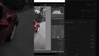 How to Isolate Color Using HSL in Lightroom Classic