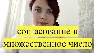 Урок 9 - Согласование со множественными числами - Латынь простыми словами