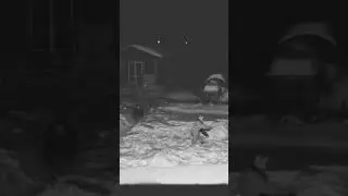 момо ужастик 18+ 