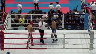 BAKES JAKUB CZE v CINAL DOMINIK POL Hungarian Kickboxing World Cup 2023