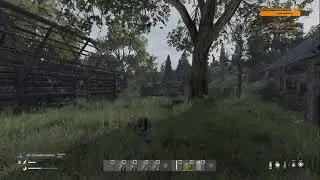 Stalker RP (охрана бара)