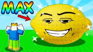I Reached MAX LEVEL in Roblox Sell Lemons...