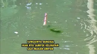Nikmat para pemancing saat ikan nya pada rakus makan umpan