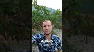 Словацкий язык 👅 ТОП 100 Выражений 5 #shorts #словацкийязык #словакия #языки #учимязык #слова #топ