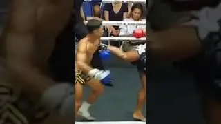 muaythai counter kick #kickboxing #muaythai #knockout