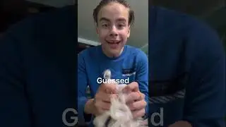 Белое или Чёрное? 🔳