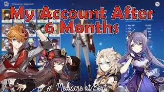 What Does a Min-Maxer's Account Look Like After 6 Months? | Genshin Impact