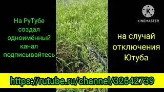 Если вдруг ютуб будет отключен!!! подписывайся на рутуб
