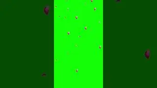 Falling Flower Green Screen | Free Green Screen Templates 
