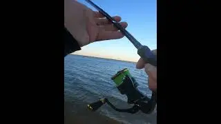 SEÑUELO LETAL EN LA ORILLA #fishing #huelva #pesca