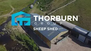 Timber Cladded Sheep Shed Build | Cladding & Completed Shed Walkthrough | Thorburn Group