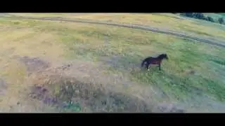 Аэросъемка vol.1