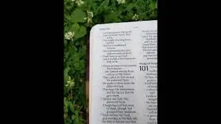 Let's Read the Psalms Again! Psalm 99- Worship at His Holy Hill (TLV)