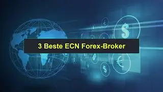 3 Beste ECN Forex Broker | Top Forex Broker Rankings | 0502