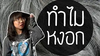 ทำไมคนเราถึงผมหงอก? | Point of View x ราชวิทยาลัยจุฬาภรณ์