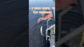 Вот это поклевка#shorts