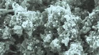 URSI: Hijacking Photosystem 2